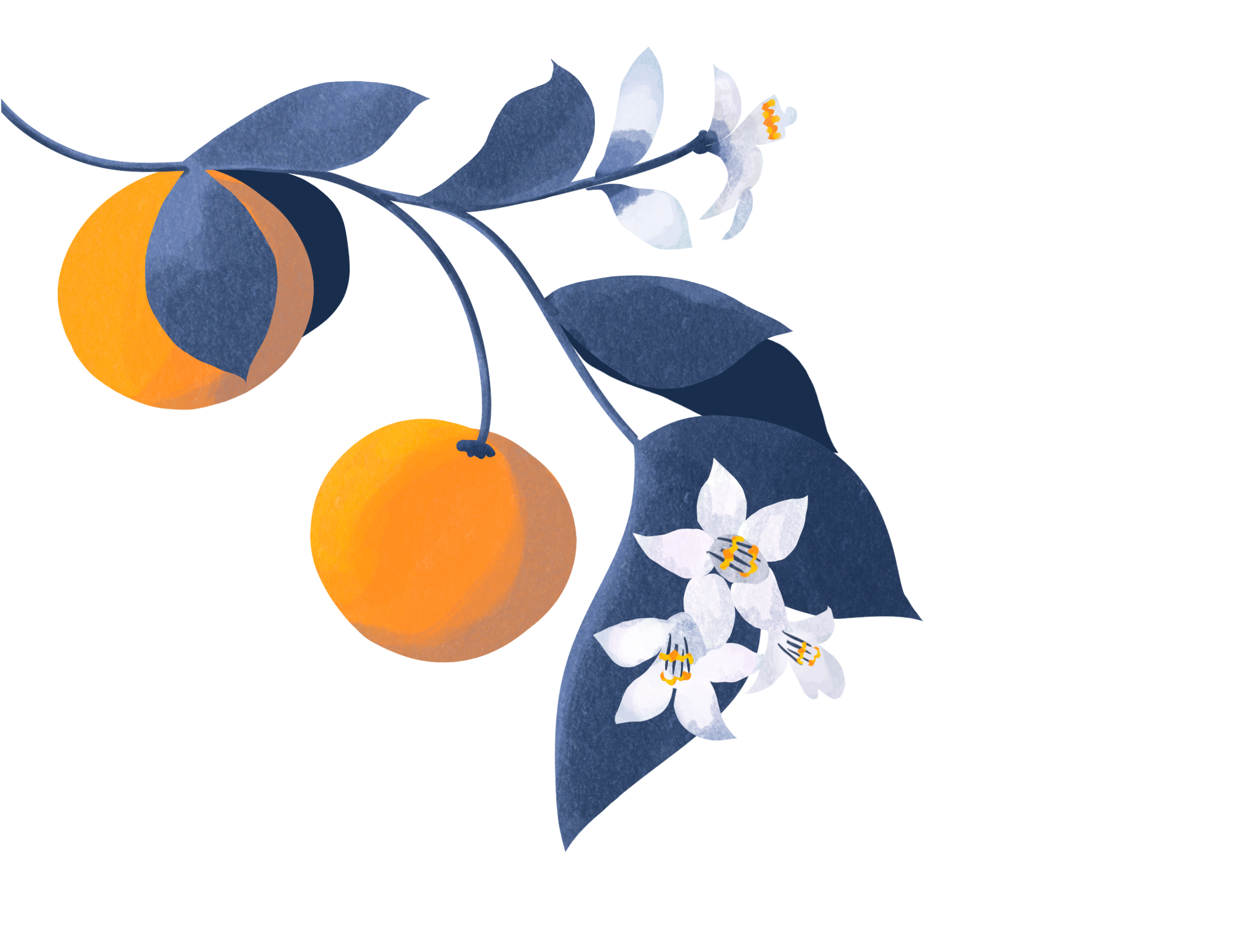 Pathing Logo